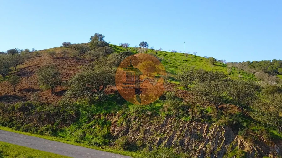 Terreno para Venda em Azinhal Foto 50