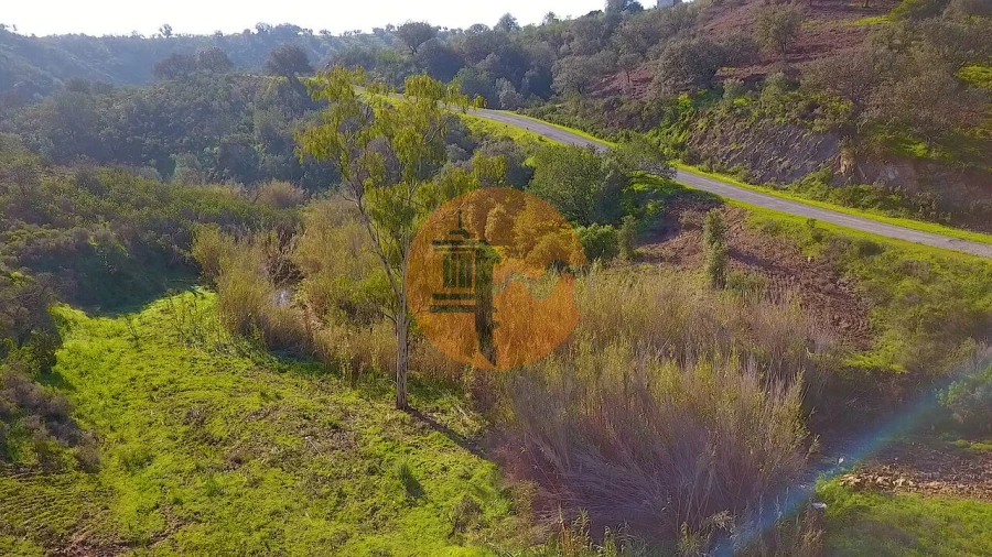 Terreno para Venda em Azinhal Foto 52