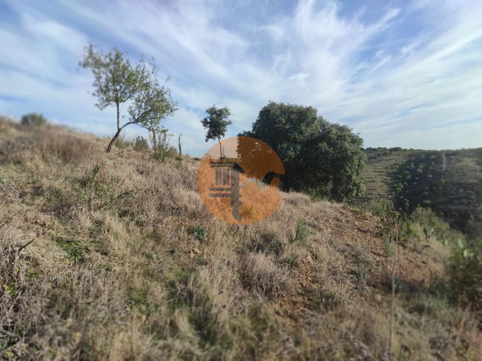 Terreno para Venda em Odeleite Foto 14