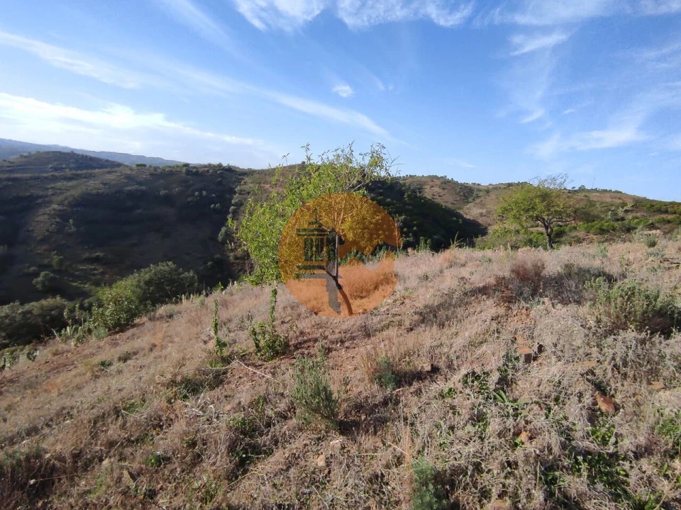 Terreno para Venda em Odeleite Foto 17