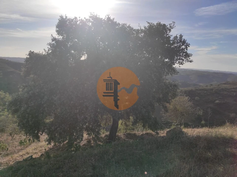 Terreno para Venda em Odeleite Foto 22