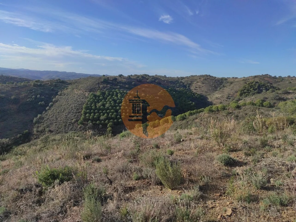 Terreno para Venda em Odeleite Foto 29