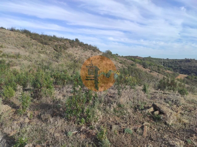 Terreno para Venda em Odeleite Foto 10