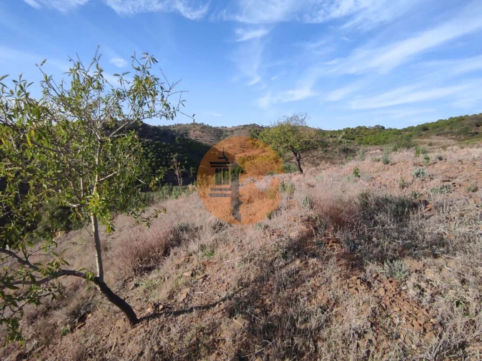 Terreno para Venda em Odeleite Foto 16