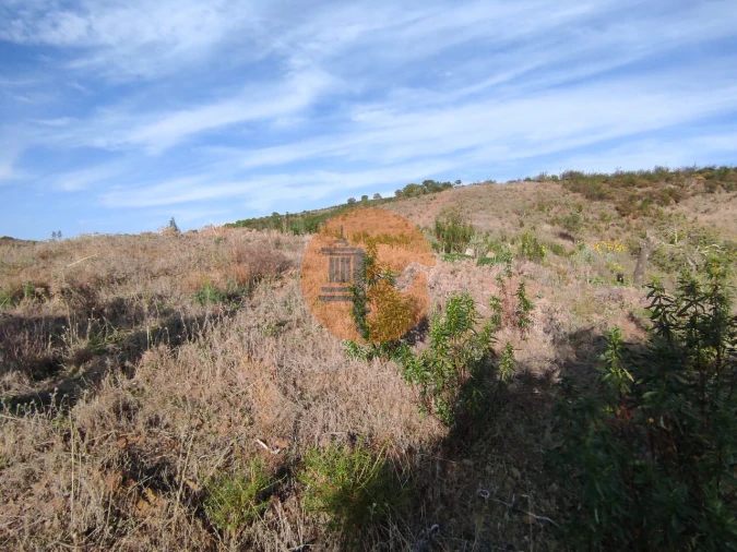 Terreno para Venda em Odeleite Foto 19