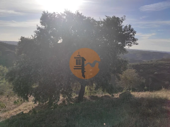 Terreno para Venda em Odeleite Foto 22