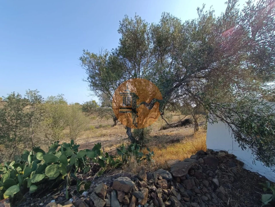 Terreno para Venda em Azinhal Foto 15