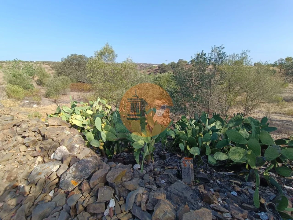 Terreno para Venda em Azinhal Foto 16
