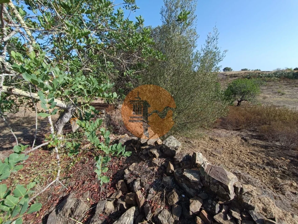 Terreno para Venda em Azinhal Foto 18
