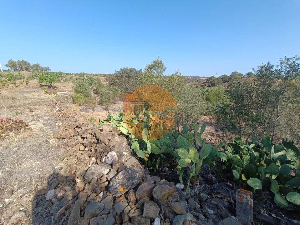 Terreno para Venda em Azinhal Foto 19