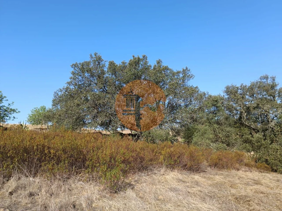 Terreno para Venda em Azinhal Foto 26