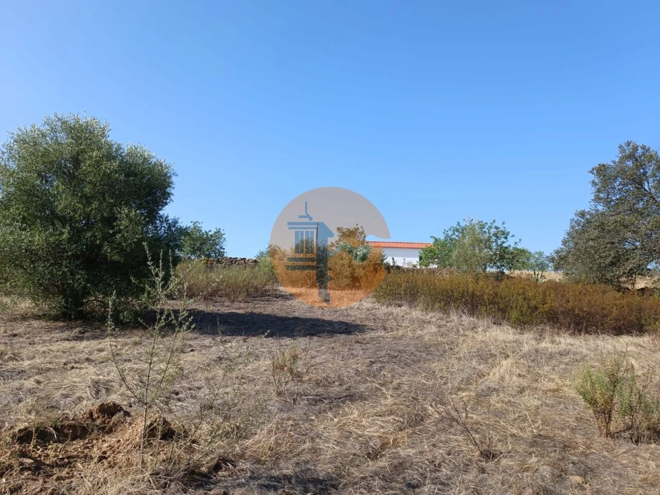 Terreno para Venda em Azinhal Foto 28