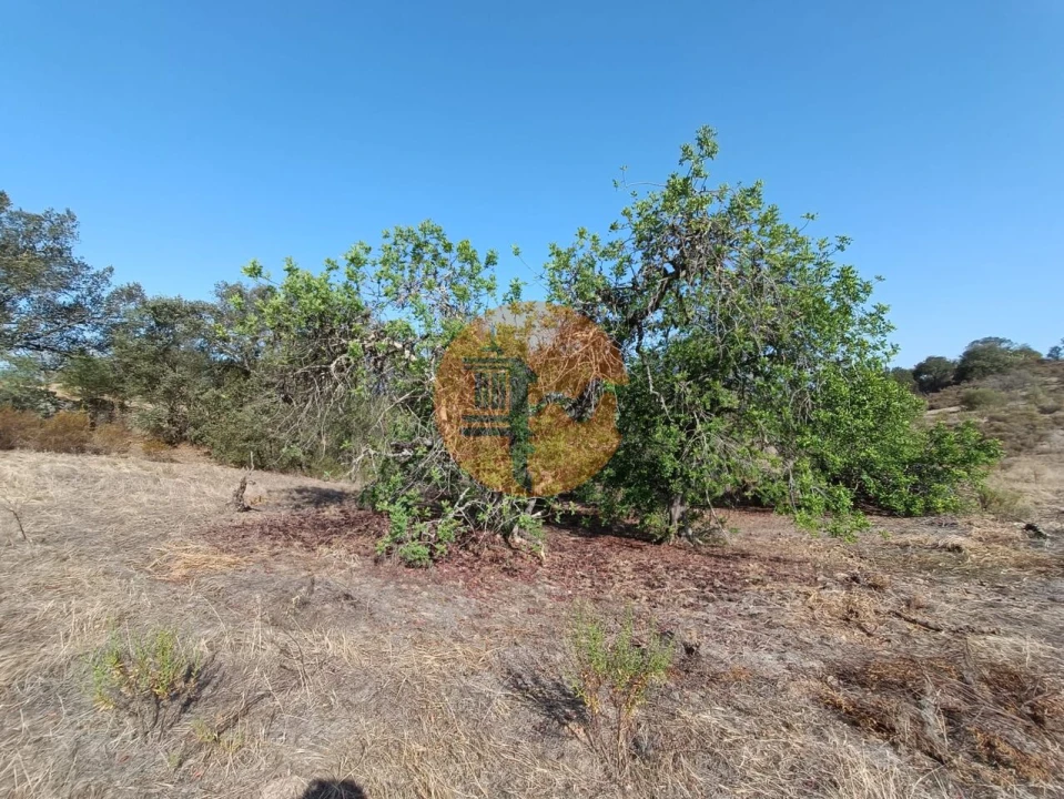 Terreno para Venda em Azinhal Foto 30
