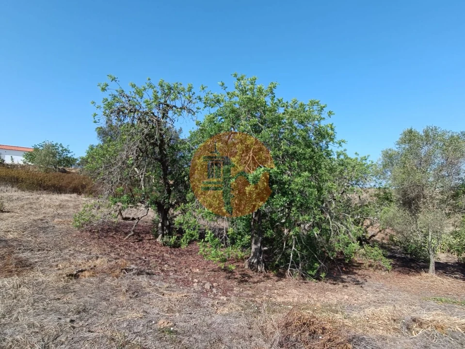 Terreno para Venda em Azinhal Foto 35
