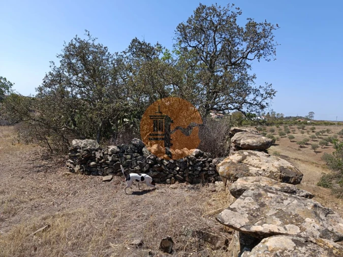 Terreno para Venda em Azinhal Foto 7