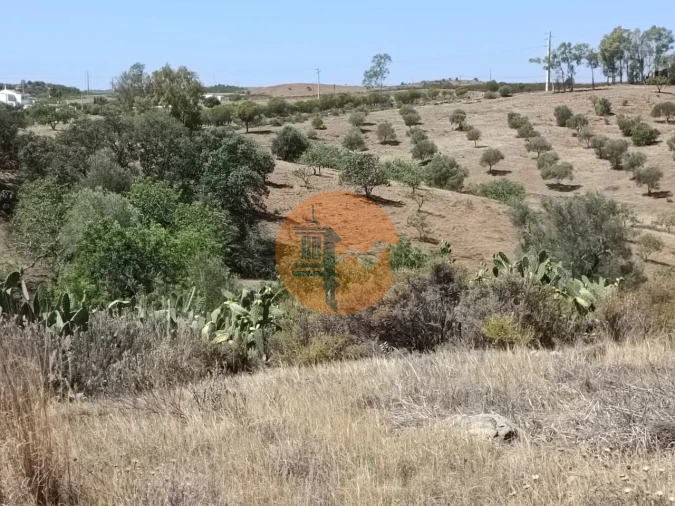 Terreno para Venda em Azinhal Foto 9