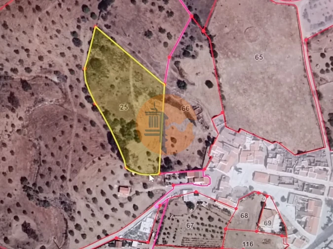 Terreno para Venda em Azinhal Foto 10