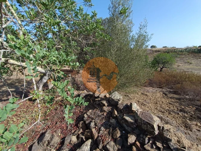 Terreno para Venda em Azinhal Foto 18