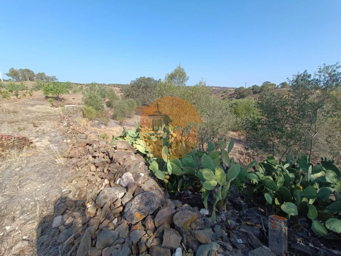 Terreno para Venda em Azinhal Foto 19