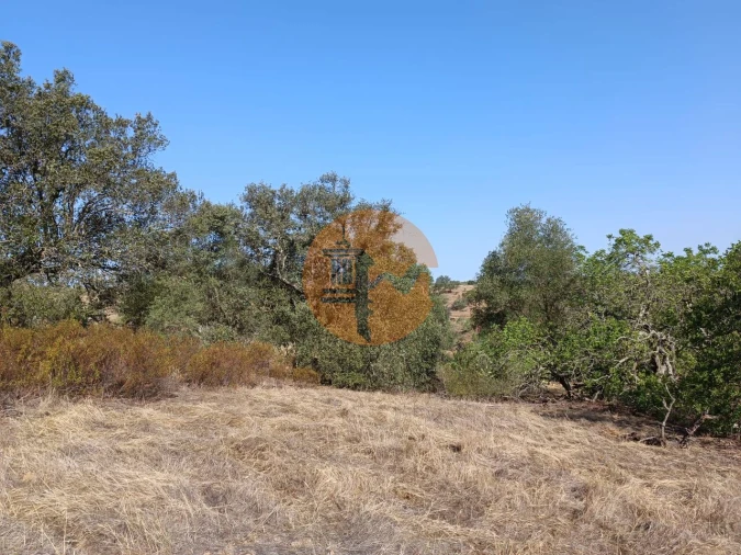 Terreno para Venda em Azinhal Foto 23