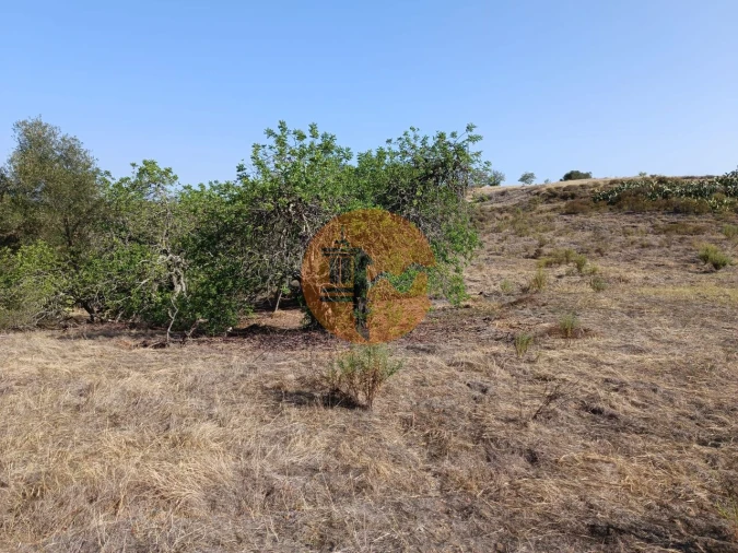 Terreno para Venda em Azinhal Foto 24