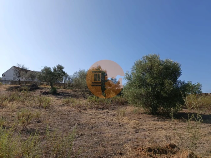 Terreno para Venda em Azinhal Foto 29