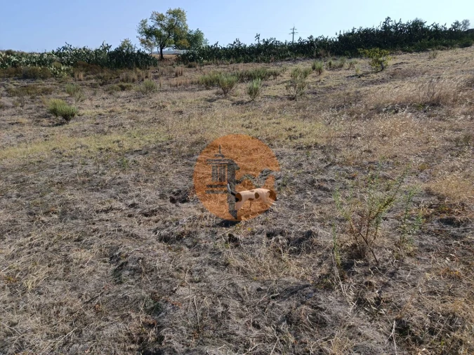 Terreno para Venda em Azinhal Foto 31
