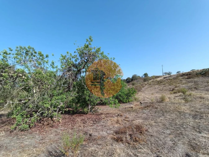 Terreno para Venda em Azinhal Foto 32