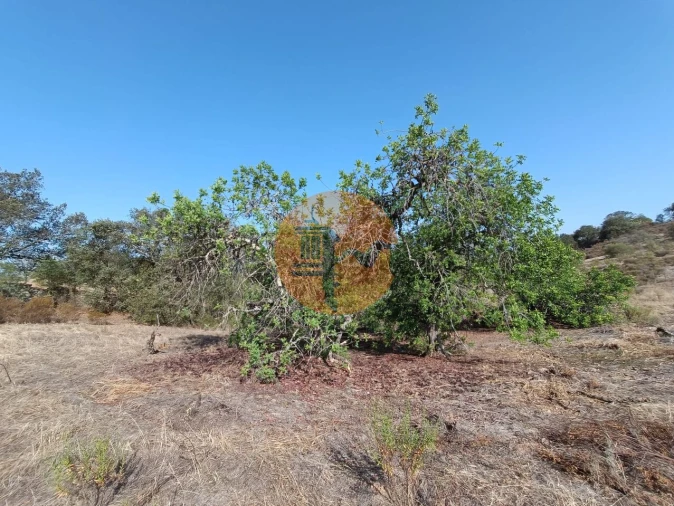 Terreno para Venda em Azinhal Foto 33