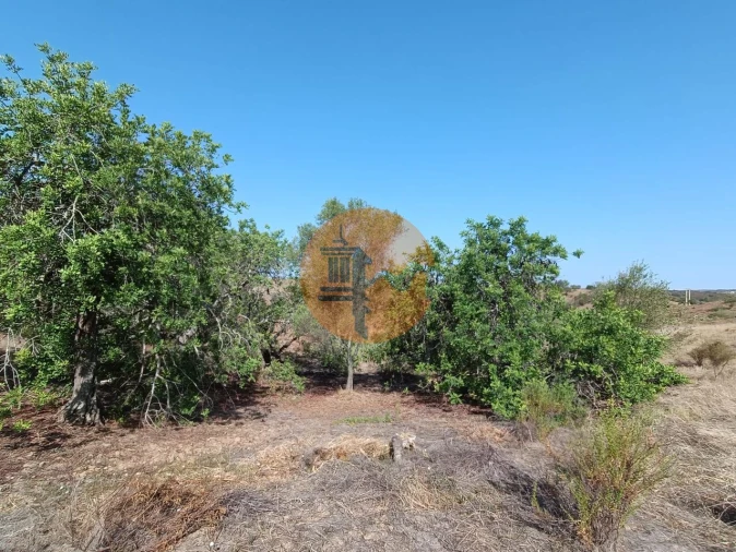 Terreno para Venda em Azinhal Foto 34