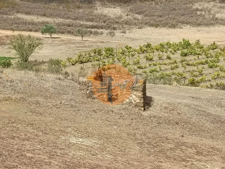 Terreno para Venda em Castro Marim Foto 4