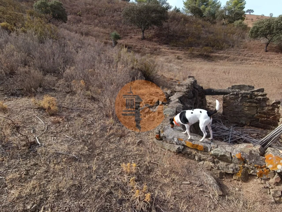 Terreno para Venda em Castro Marim Foto 18