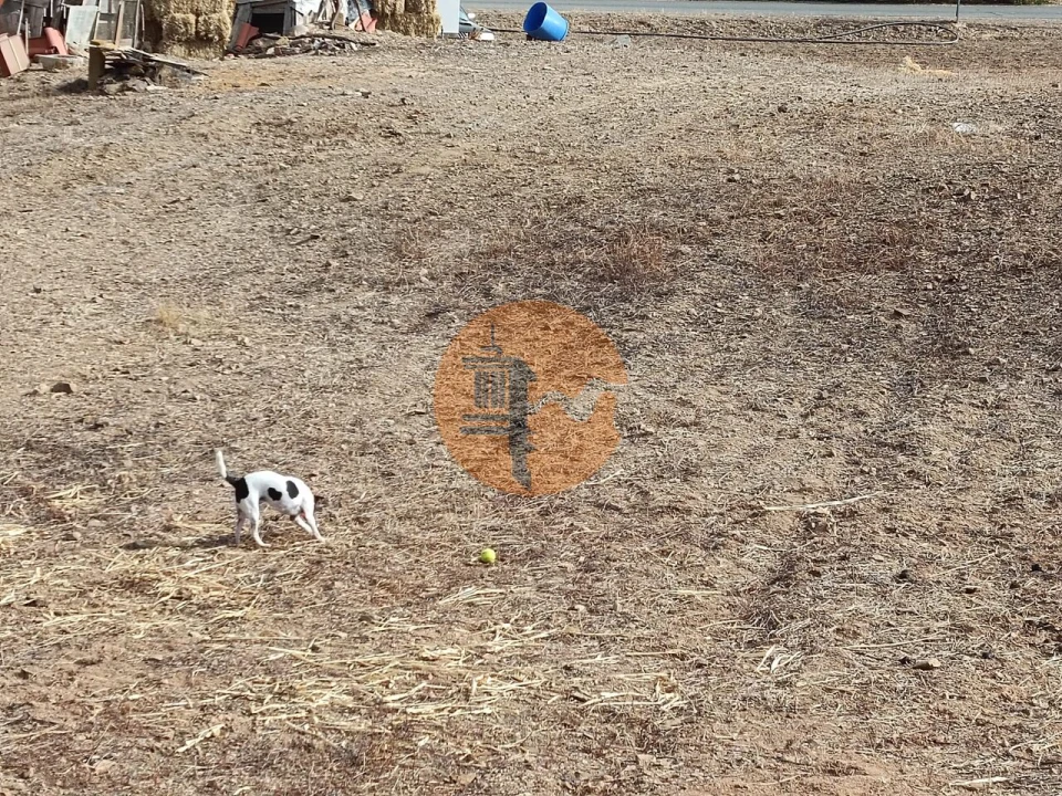 Terreno para Venda em Castro Marim Foto 52