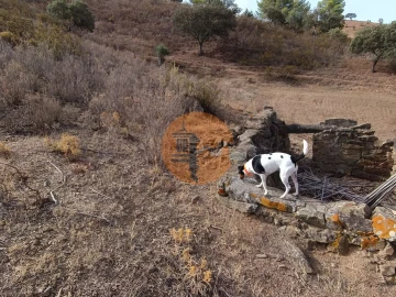 Terreno para Venda em Castro Marim