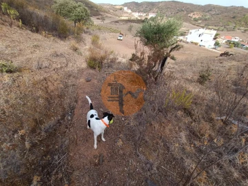 Terreno para Venda em Castro Marim