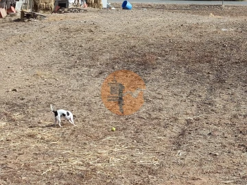 Terreno para Venda em Castro Marim