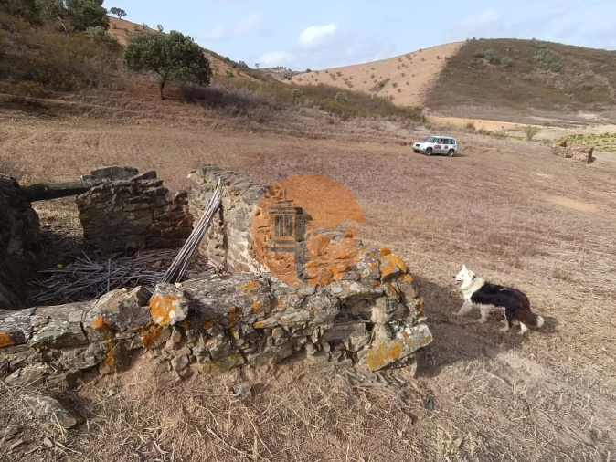 Terreno para Venda em Castro Marim Foto 7