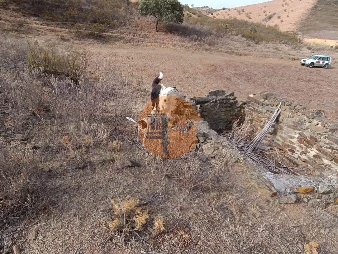 Terreno para Venda em Castro Marim Foto 9