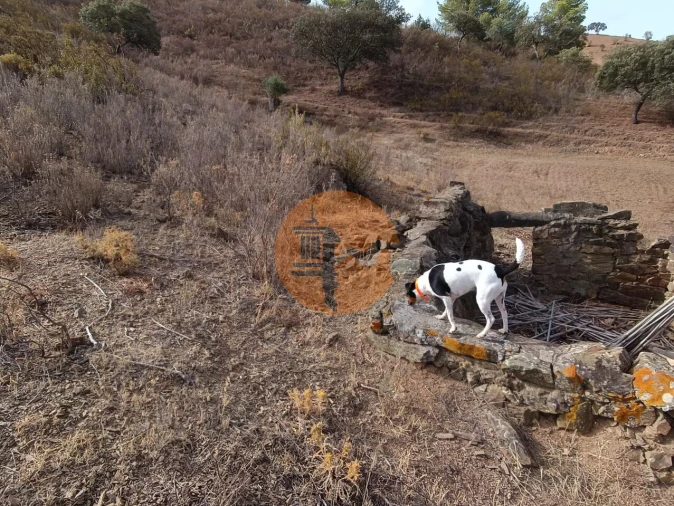 Terreno para Venda em Castro Marim Foto 18