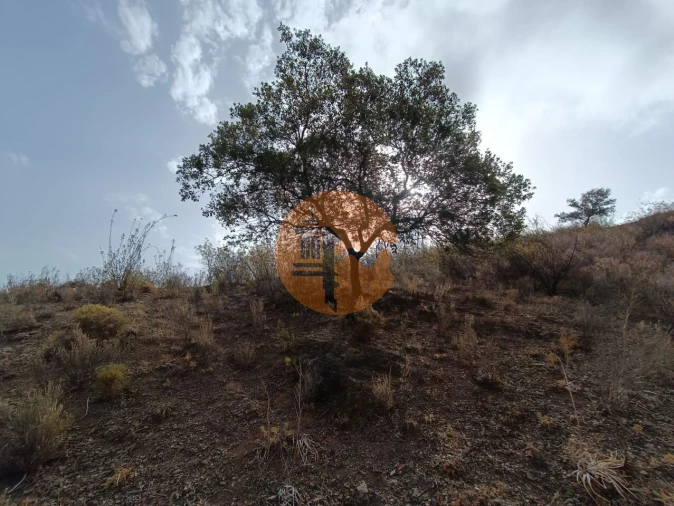 Terreno para Venda em Castro Marim Foto 27