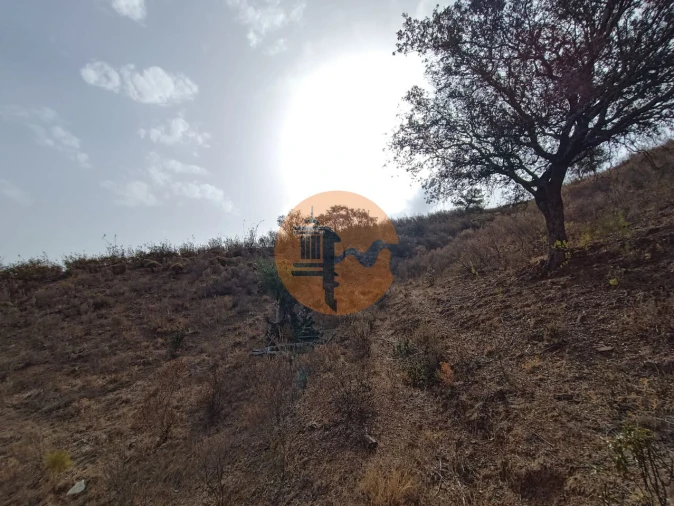 Terreno para Venda em Castro Marim Foto 3