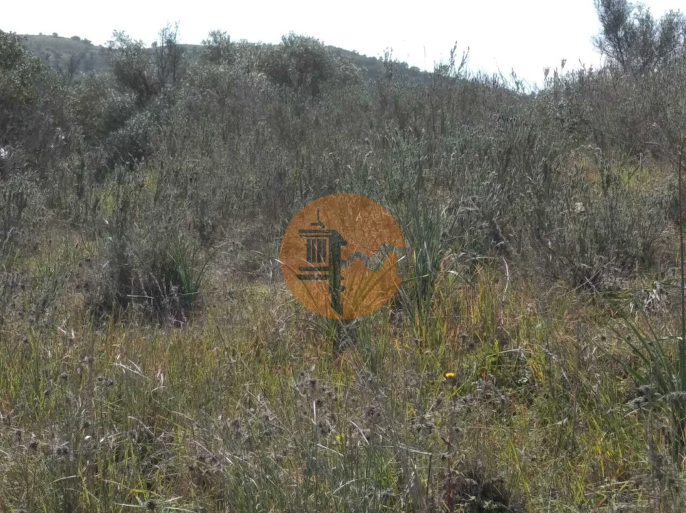 Terreno para Venda em Odeleite Foto 14