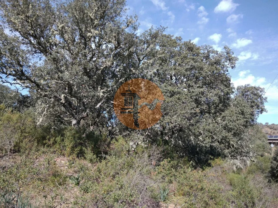 Terreno para Venda em Odeleite Foto 17