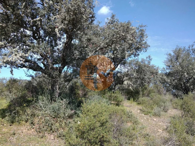 Terreno para Venda em Odeleite Foto 20