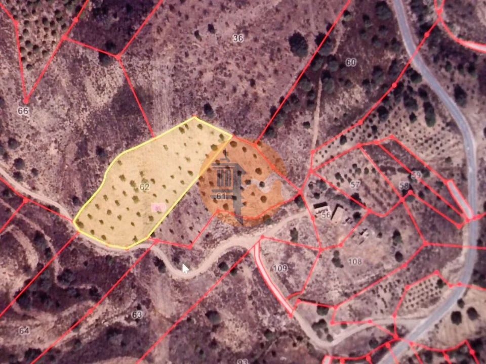 Terreno para Venda em Azinhal Foto 15