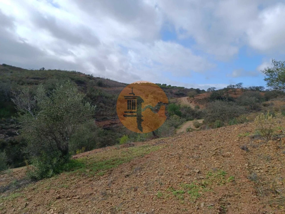 Terreno para Venda em Azinhal Foto 9