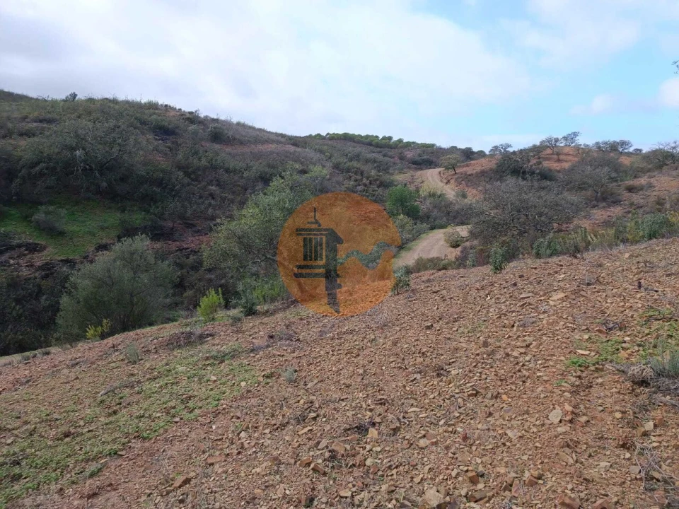 Terreno para Venda em Azinhal Foto 10