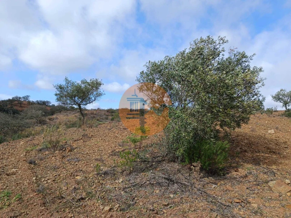 Terreno para Venda em Azinhal Foto 17