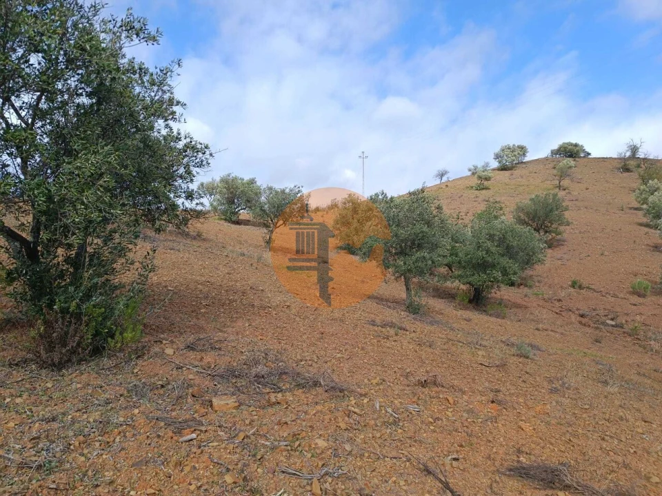 Terreno para Venda em Azinhal Foto 19