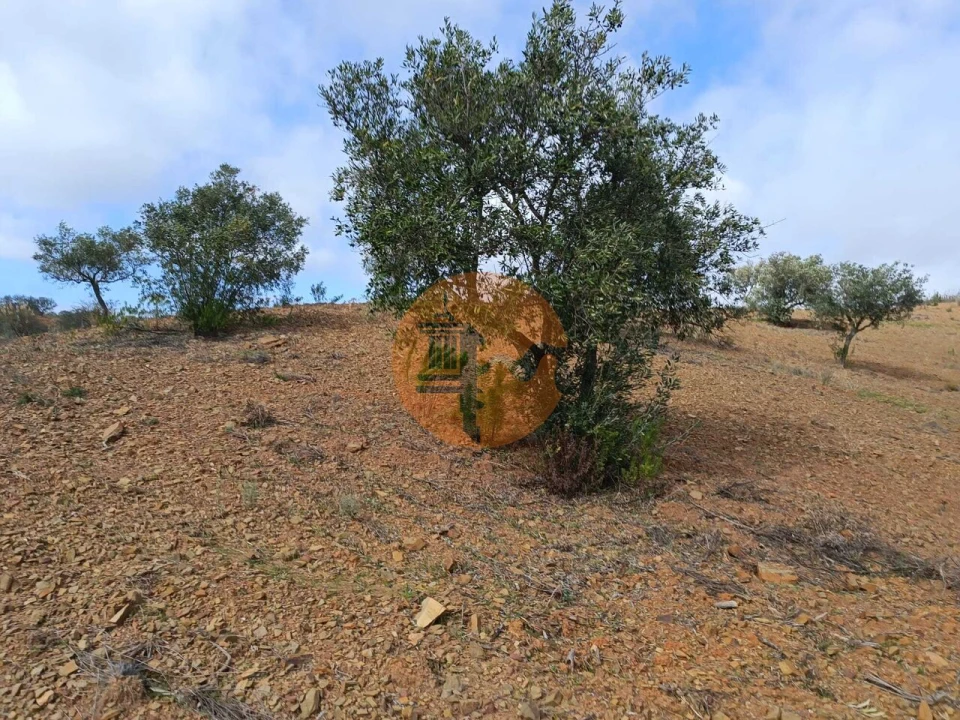 Terreno para Venda em Azinhal Foto 20